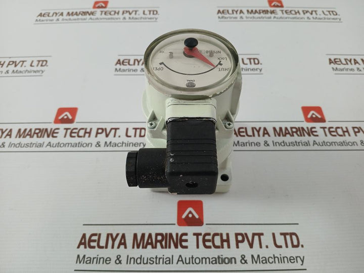 Oval-Valve-Open-shut-Indicator-NPI45B10-209996-4