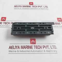 Pa66-gf25Fr(17) Double Rail Module Unit 6,352,450