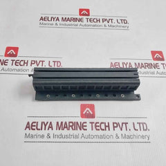 Pa66-gf25Fr(17) Double Rail Module Unit 6,352,450