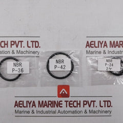 Pac80-04G Nbr O-ring Kit