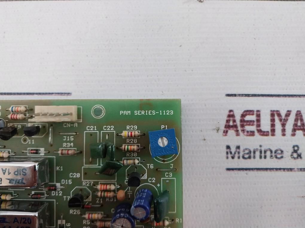 Pam Series 1123 Control Board