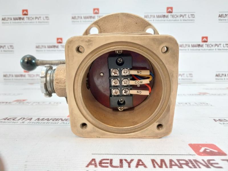 Pan-asia Float Type Level Switch