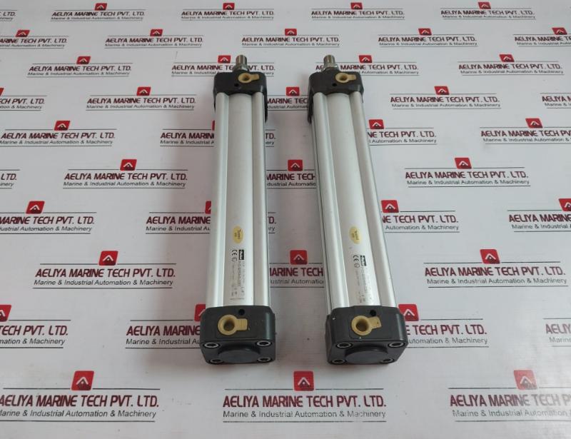 Parker P1D-s050Ms-0250 Pneumatic Cylinder 250Mm Max 10 Bar