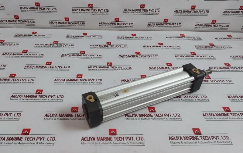 Parker P1D-s050Ms-0250 Pneumatic Cylinder 250Mm Max 10 Bar