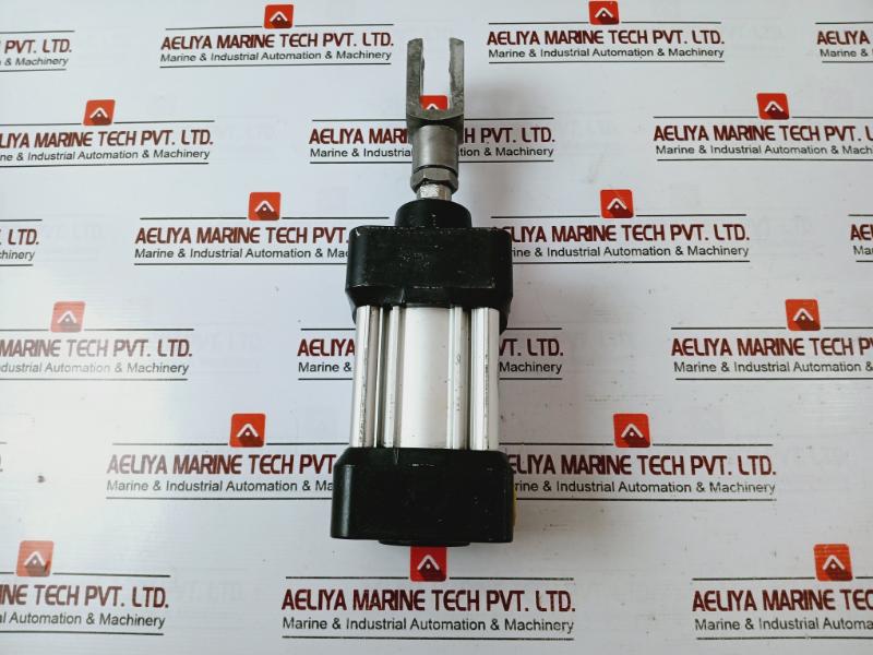 Parker P1D-s063Ms-0025 Series Pneumatic Cylinder 39 P(E) Max 10 Bar