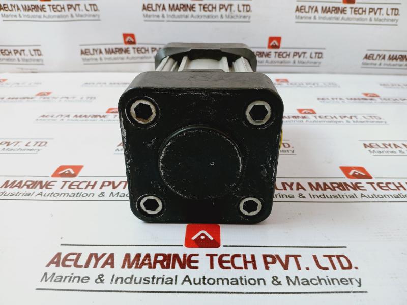 Parker P1D-s063Ms-0025 Series Pneumatic Cylinder 39 P(E) Max 10 Bar