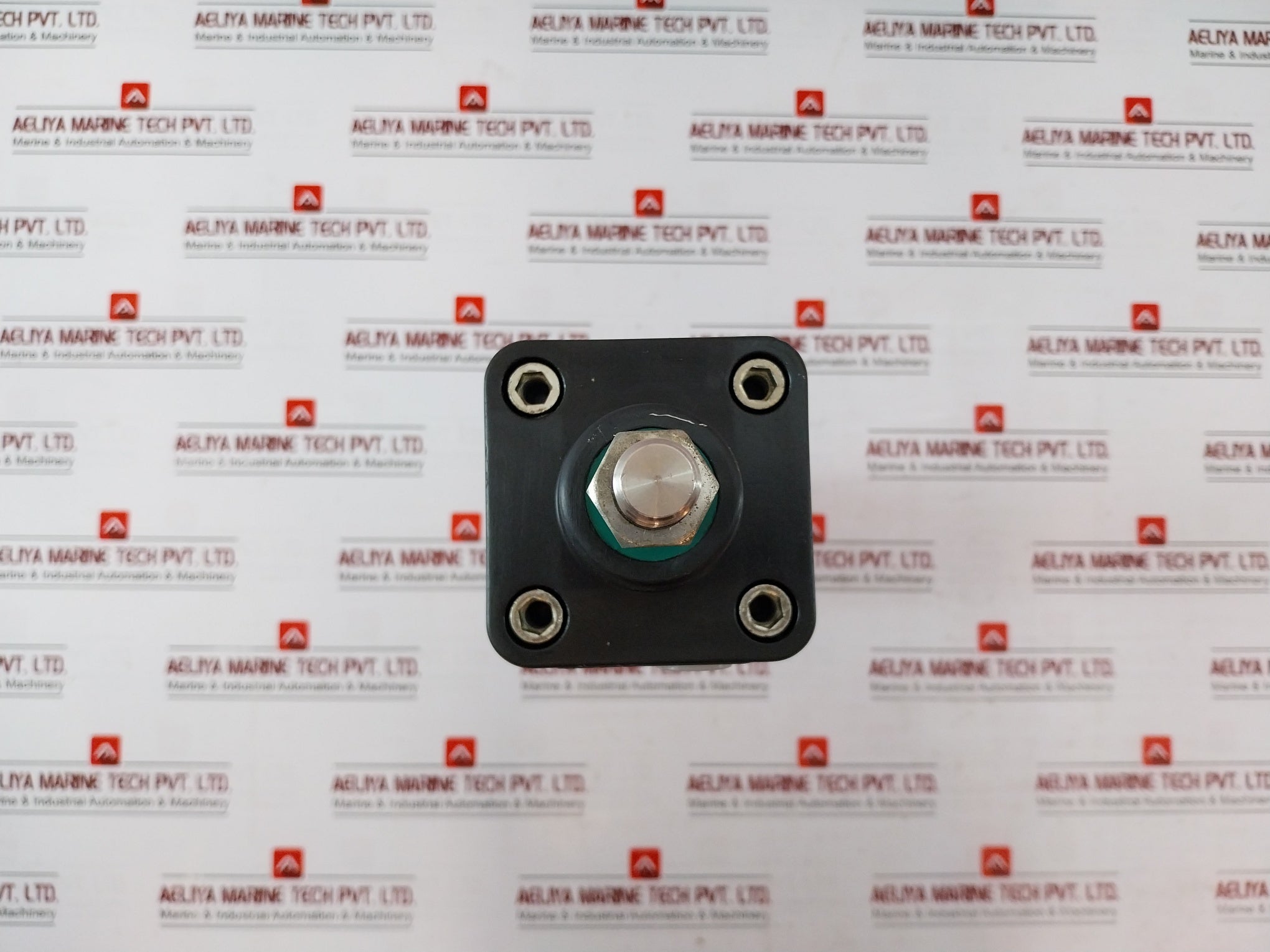 Parker P1D-s063Ms-0250 Series Pneumatic Cylinder Co-cs81105 Max 10 Bar