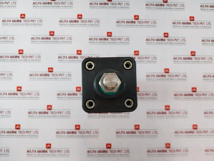 Parker P1D-s063Ms-0250 Series Pneumatic Cylinder Co-cs81105 Max 10 Bar