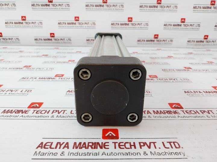 Parker P1D-s063Ms-0250 Series Pneumatic Cylinder Co-cs81105 Max 10 Bar
