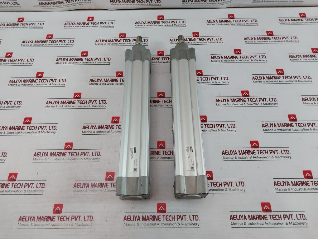 Parker P1F-s050Ms-0250-0000 Pneumatic Cylinder 10 Bar