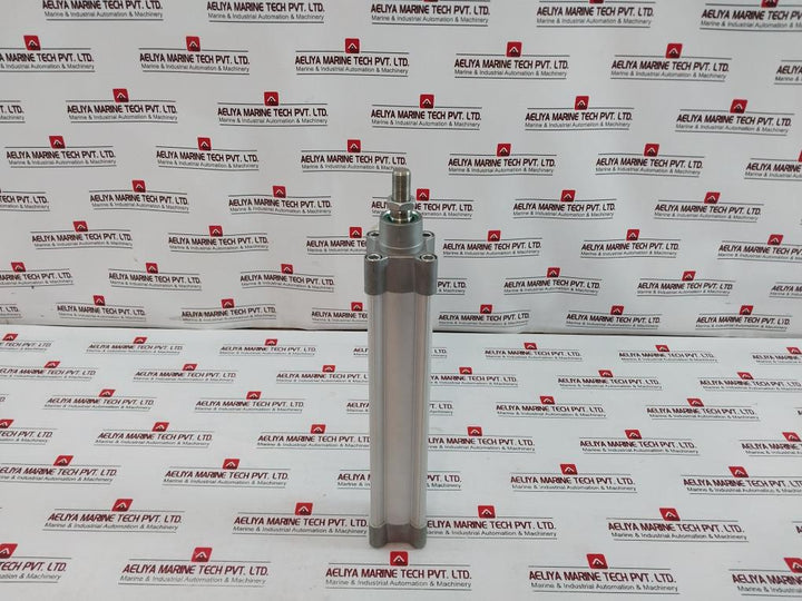 Parker P1F-s050Ms-0250-0000 Pneumatic Cylinder 10 Bar