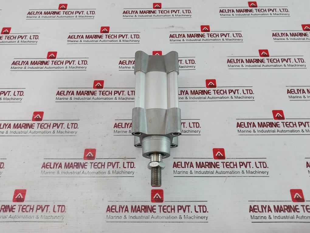 Parker P1F-s063Ms-0025-0000 Pneumatic Cylinder 10 Bar