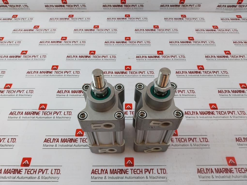 Parker P1F-s063Ms-0025-0000 Series Pneumatic Cylinder Max 10 Bar