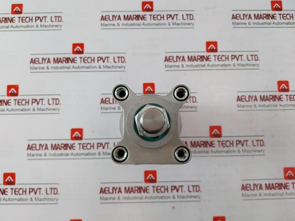 Parker P1F-s063Ms-0025-0000 Series Pneumatic Cylinder Max 10 Bar