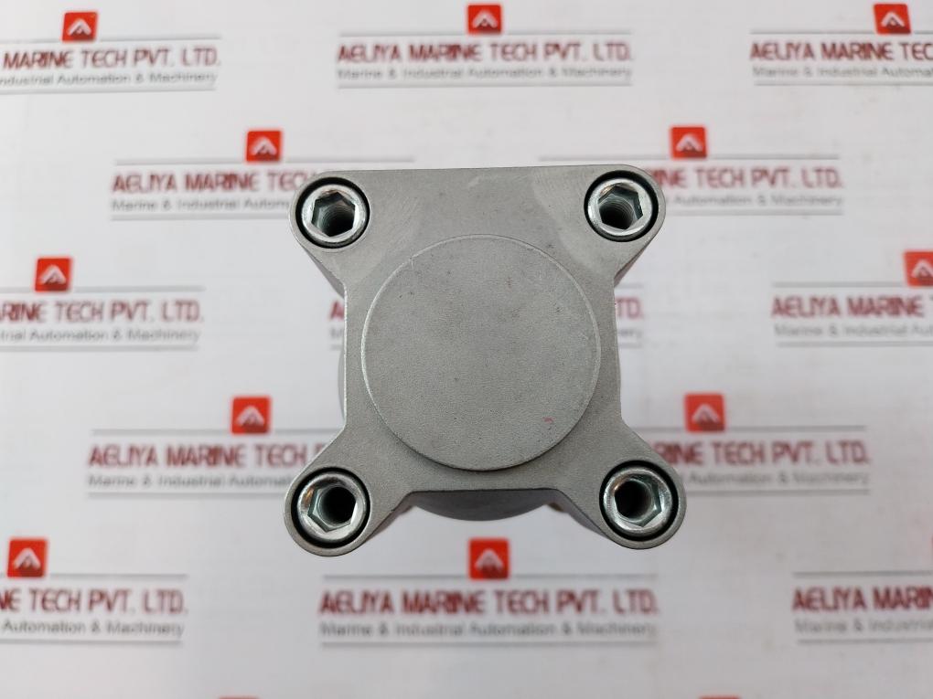 Parker P1F-s063Ms-0025-0000 Series Pneumatic Cylinder Max 10 Bar