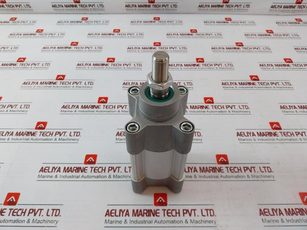 Parker P1F-s063Ms-0025-0000 Series Pneumatic Cylinder Max 10 Bar