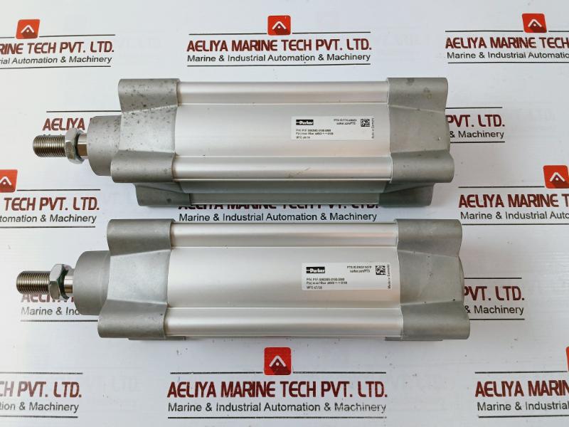 Parker P1F-s063Ms-0100-0000 Pneumatic Piston Rod Cylinder P(E) Max 10 Bar