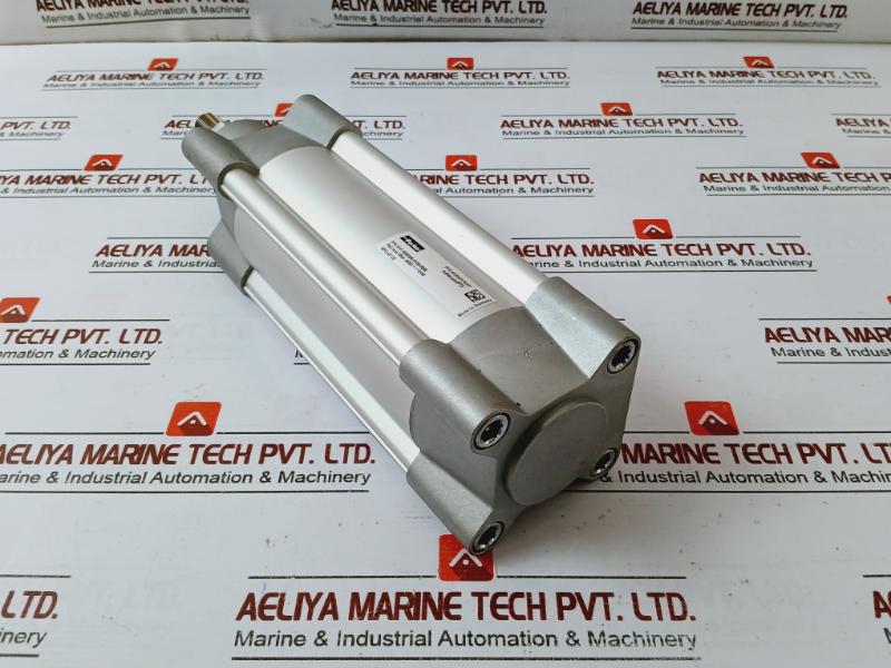 Parker P1F-s063Ms-0100-0000 Pneumatic Piston Rod Cylinder P(E) Max 10 Bar