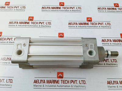 Parker P1F-s063Ms-0100-0000 Pneumatic Piston Rod Cylinder Max 10 Bar