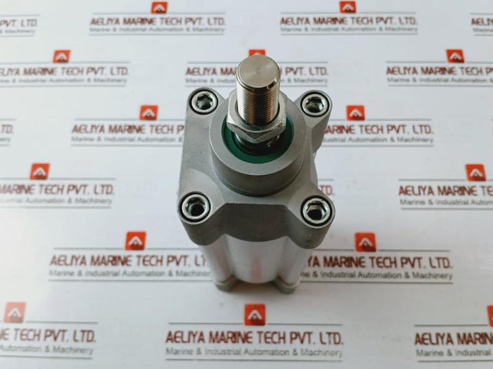 Parker P1F-s063Ms-0100-0000 Pneumatic Piston Rod Cylinder Max 10 Bar