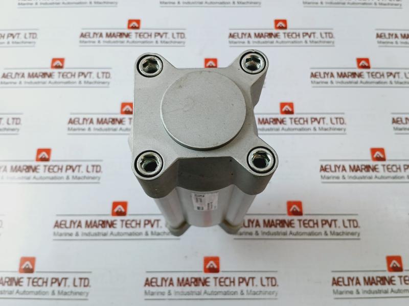 Parker P1F-s063Ms-0100-0000 Pneumatic Piston Rod Cylinder Max 10 Bar