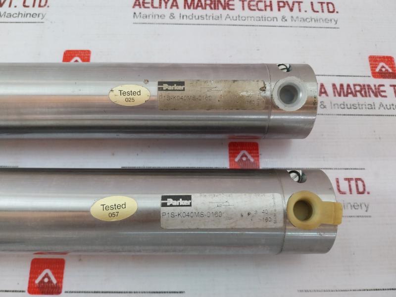 Parker P1S-k040Ms-0160 P1S Series Stainless Steel Pneumatic Cylinder 10Bar 39 09