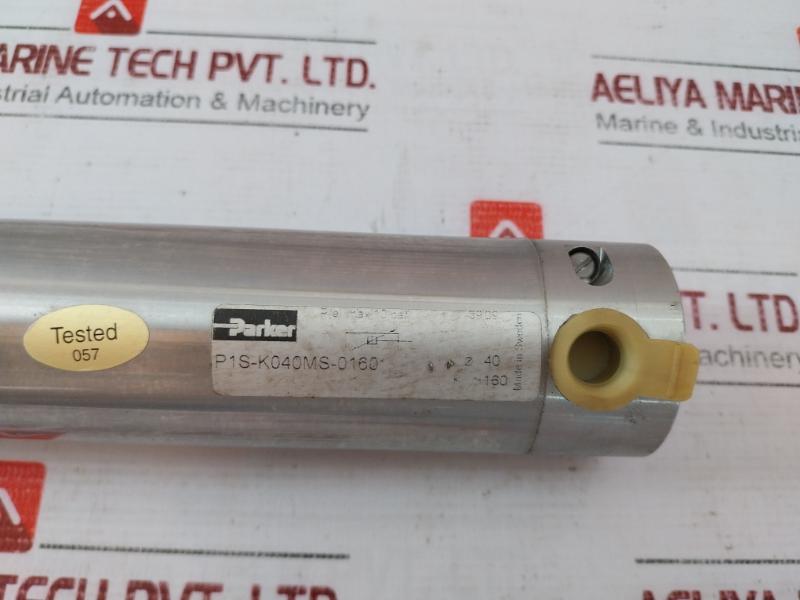 Parker P1S-k040Ms-0160 P1S Series Stainless Steel Pneumatic Cylinder 10Bar 39 09