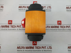 10F39Sn R7 Pneumatic Actuator By Flowserve