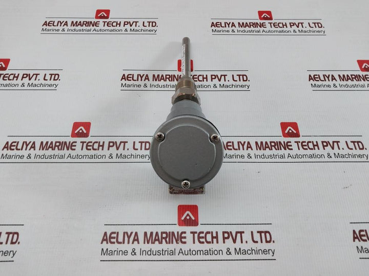 Pascal Pt 100 Ohm