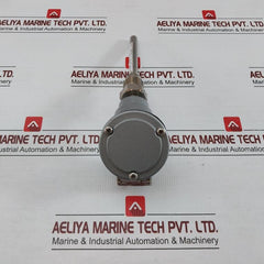 Pascal Rtd Temperature Sensor Pt 100 Ohm