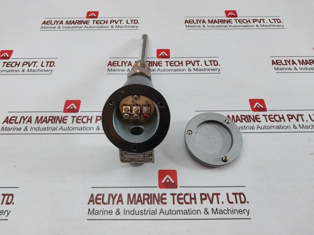 Pascal Rtd Temperature Sensor Pt 100 Ohm