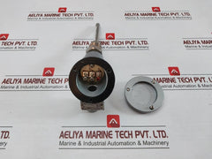 Pascal Rtd Temperature Sensor Pt 100 Ohm