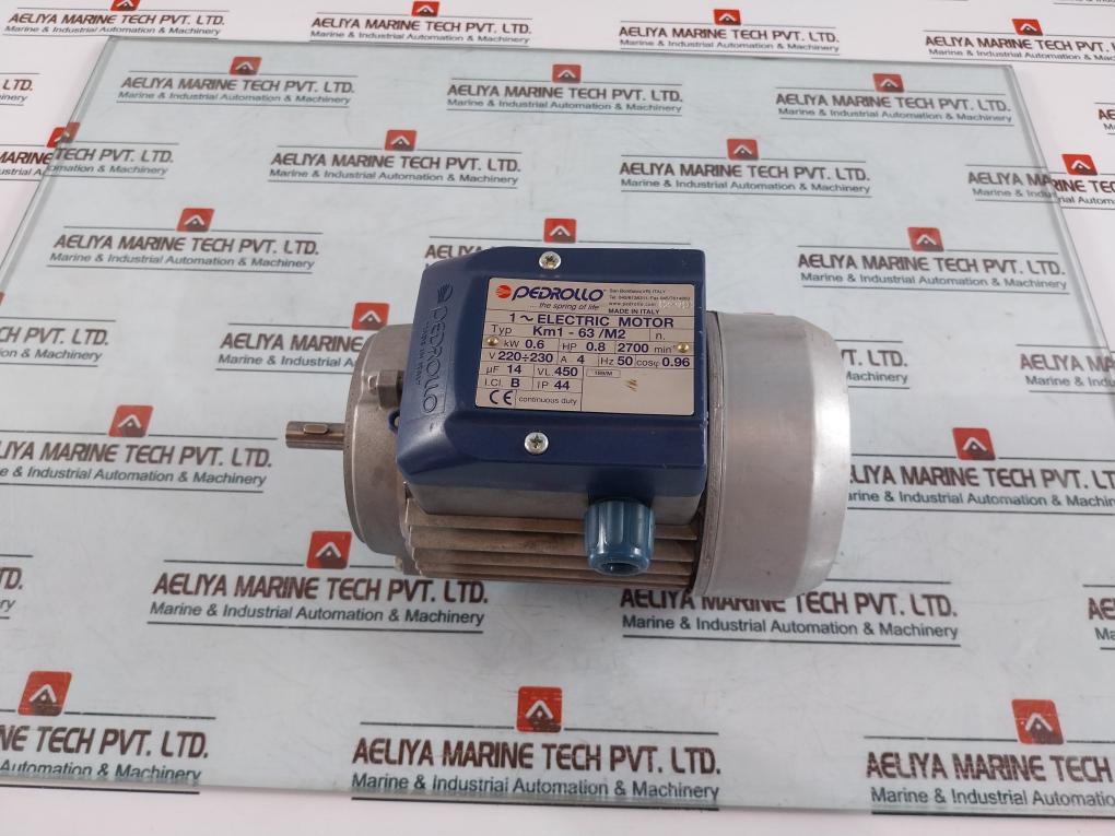 Pedrollo Km1-63/M2 1~ Electric Motor