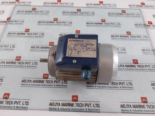 Pedrollo Km1-63/M2 1~ Electric Motor