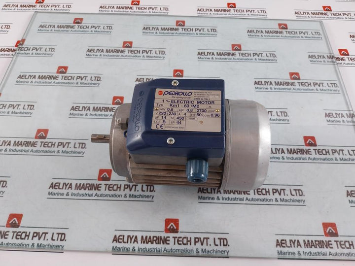 Pedrollo Km1-63/M2 1~ Electric Motor