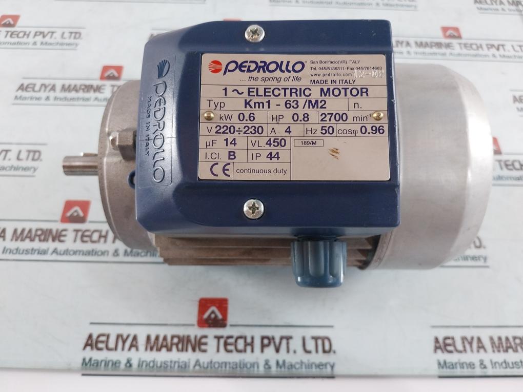 Pedrollo Km1-63/M2 1~ Electric Motor