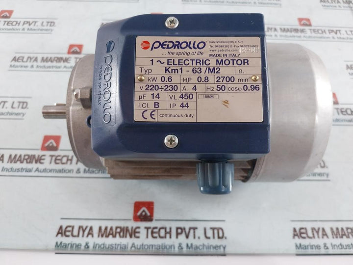 Pedrollo Km1-63/M2 1~ Electric Motor