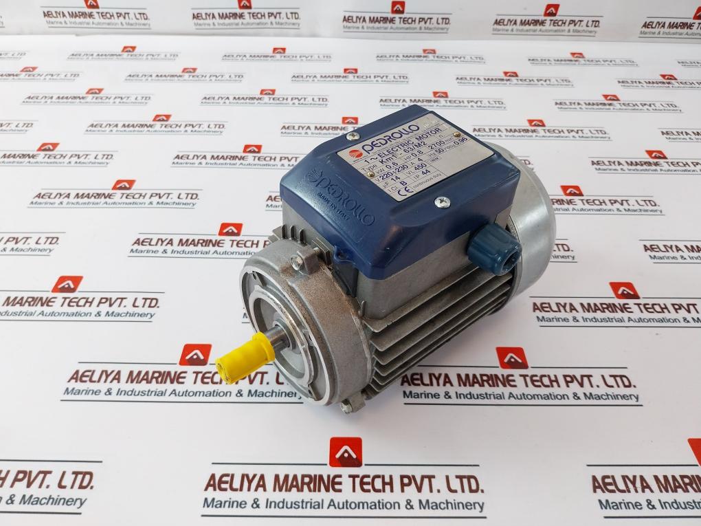 Pedrollo Km1 – 63/M2 1 ~ Electric Motor Kw 06 Hp 0.8 220÷230V 4A 50Hz Ip44