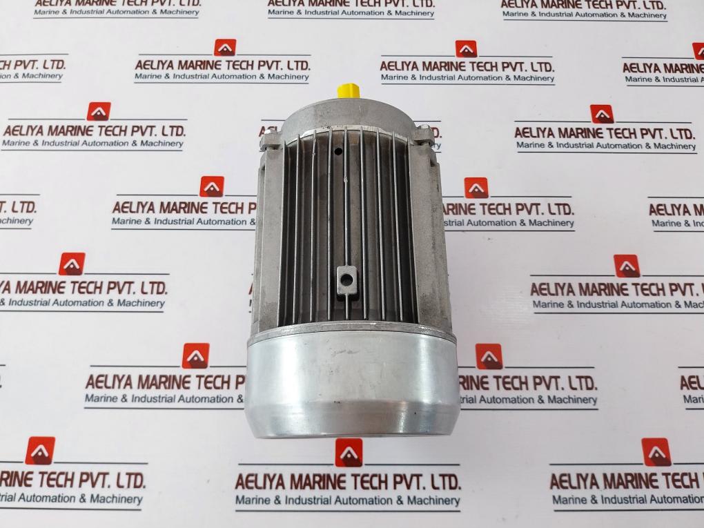Pedrollo Km1 – 63/M2 1 ~ Electric Motor Kw 06 Hp 0.8 220÷230V 4A 50Hz Ip44