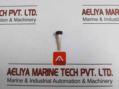 Peek Port Injector Waters 6060895-50 Gm