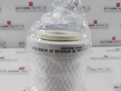Pentair 5 Hpc 7" Hydrocarbon (Hpc) Filter Element 130 Liter 5 Micron