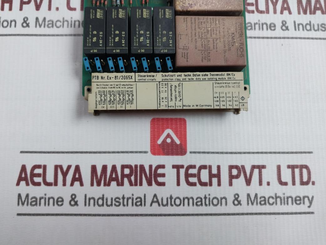 Pepperl+Fuchs Eg4-r Switch Amplifier 24Vdc Y 19759