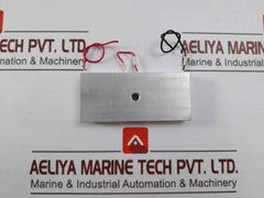 Pettier Module Assembly