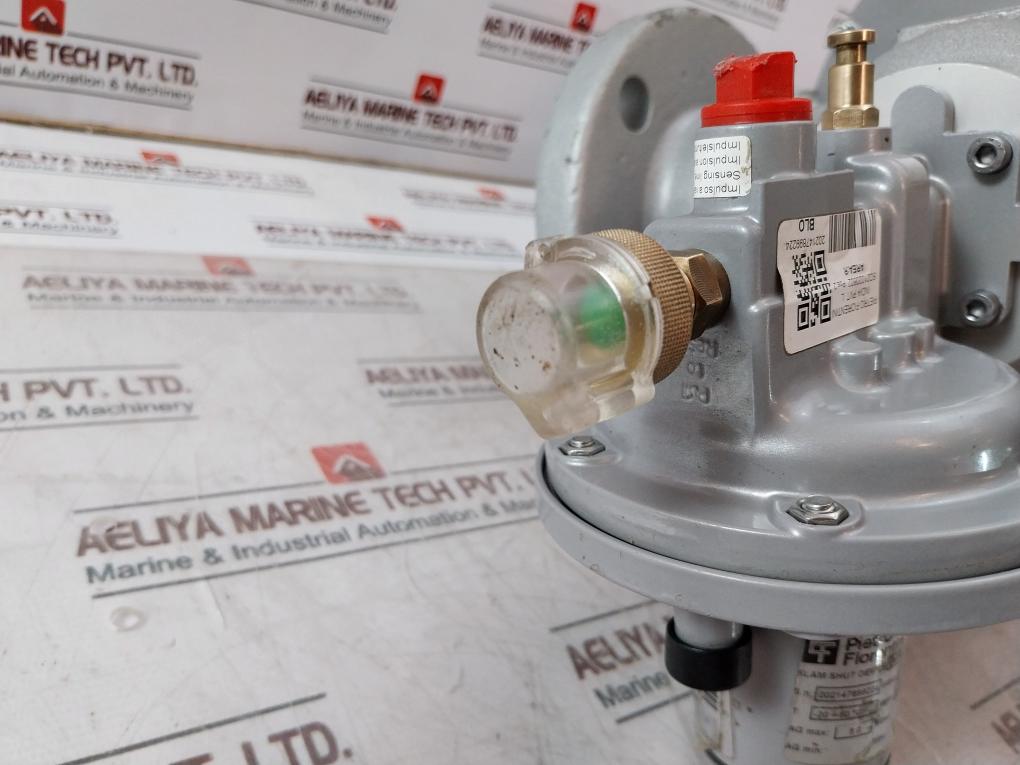 Pietro Fiorentini Dival 600A Tr Gas Pressure Regulator 18.90 Bar