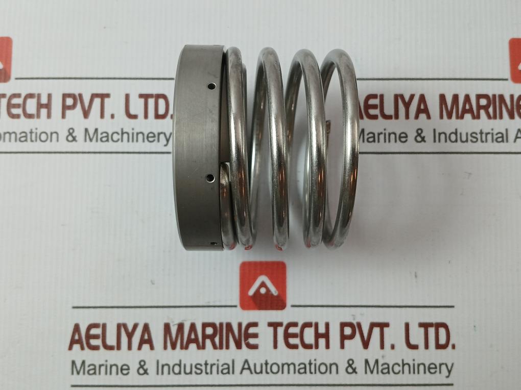 Pillar Mechanical Seal Cs10-060Jp