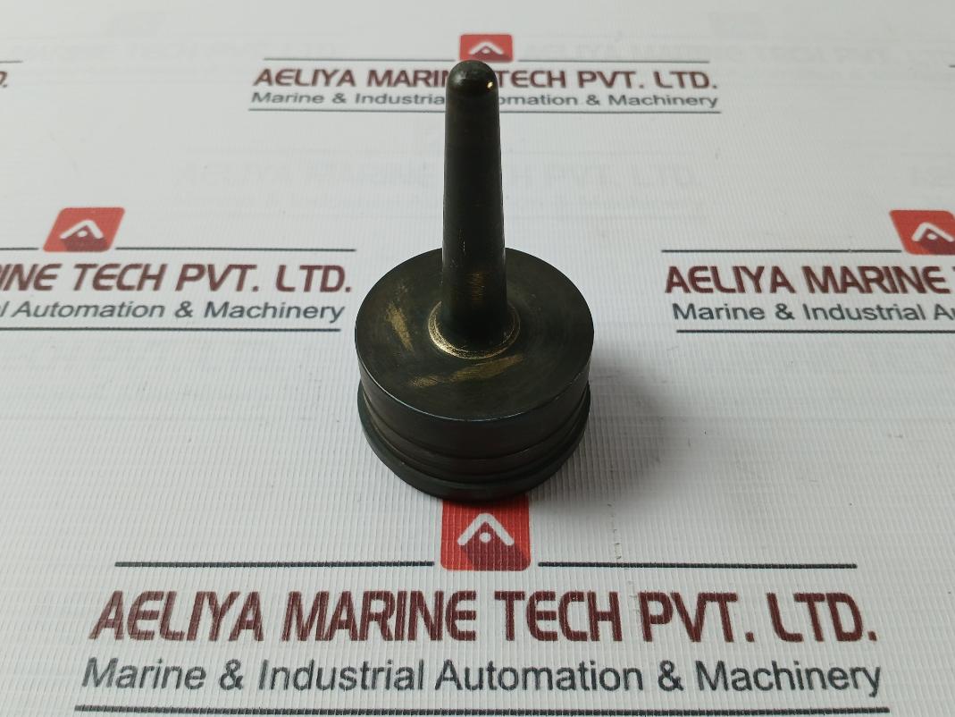 Piston For Er Pressure Reducing & Safety Valve St135F, 10