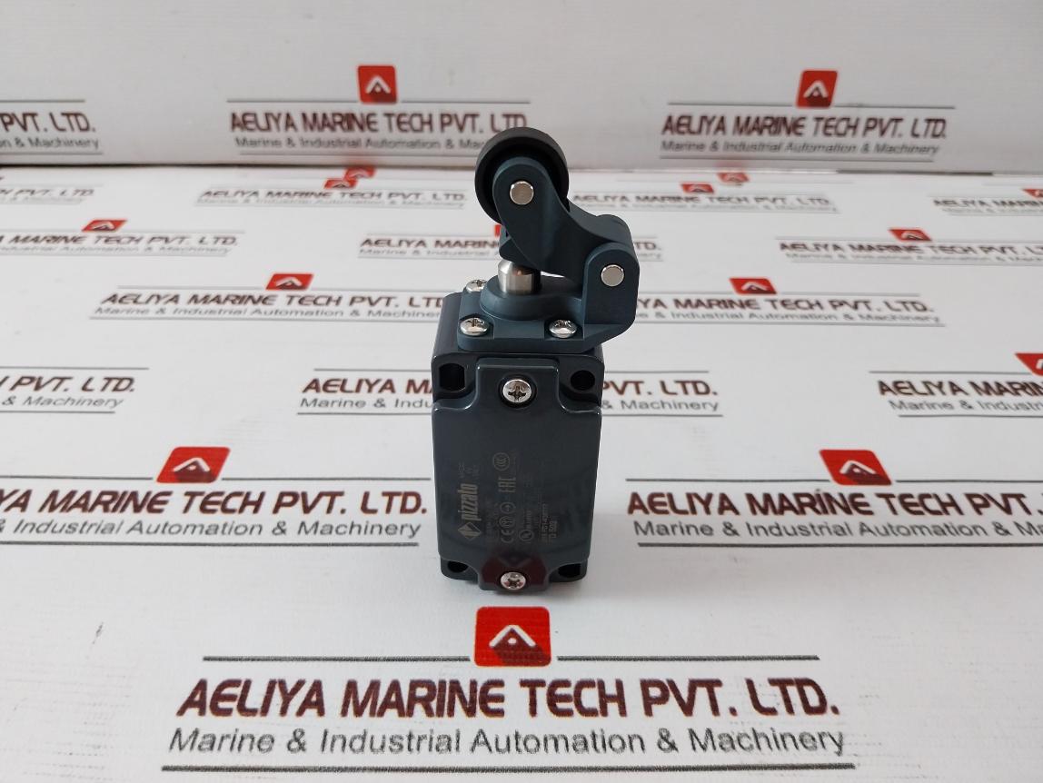 Pizzato Fd 502 Position Switch Ip67 Ac15 3A 400V, Iec 60947-5-1