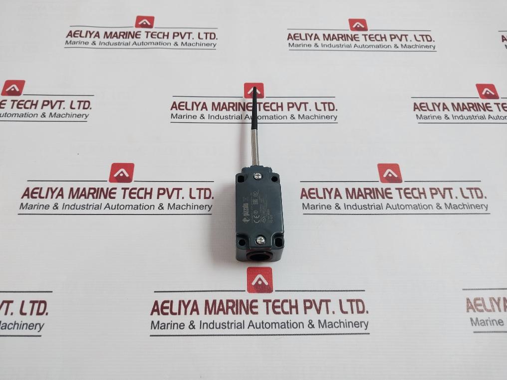 Pizzato Fd 520 Position Switch Ac15 3A 400V Ip67Pizzato Fd 520