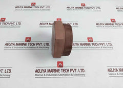 Plug 4Npt Sch 160 Hex Head Threaded Pipe Plug High-pressure Fitting