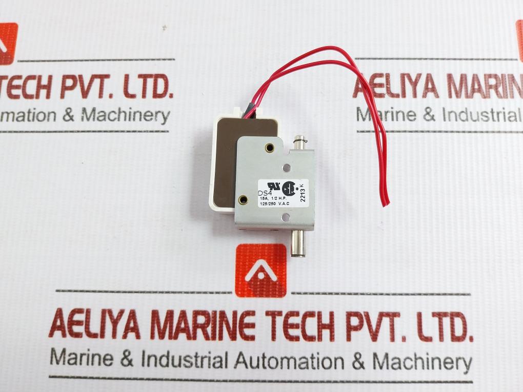 Plunger Micro Switch 125/250 Vac Saia-burgess Ds4